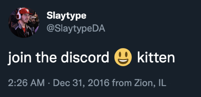 what is a discord kitten
